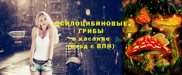 соль ск Алексеевка
