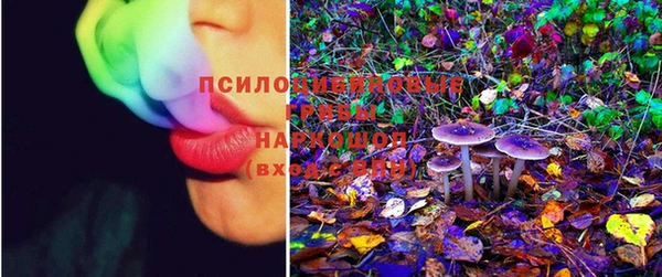 марки lsd Алзамай