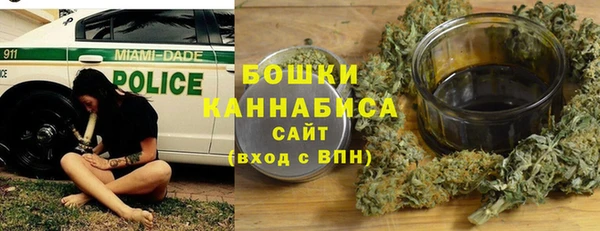 PSILOCYBIN Кукмор